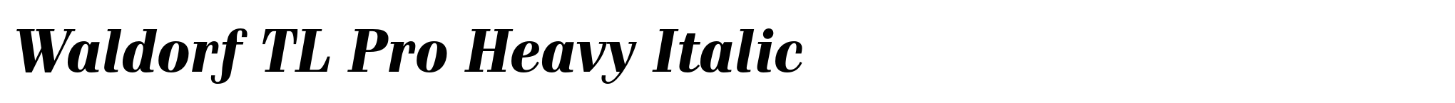 Waldorf TL Pro Heavy Italic image
