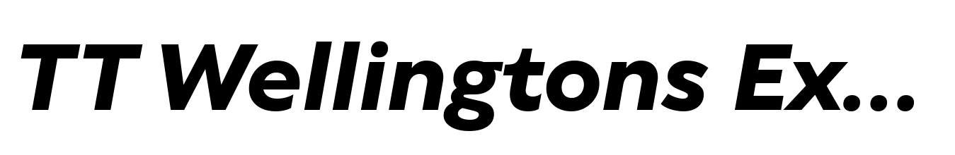 TT Wellingtons ExtraBold Italic