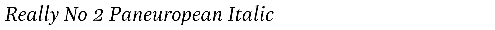 Really No 2 Paneuropean Italic image