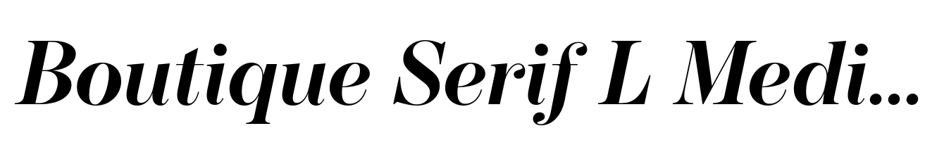 Boutique Serif L Medium Italic