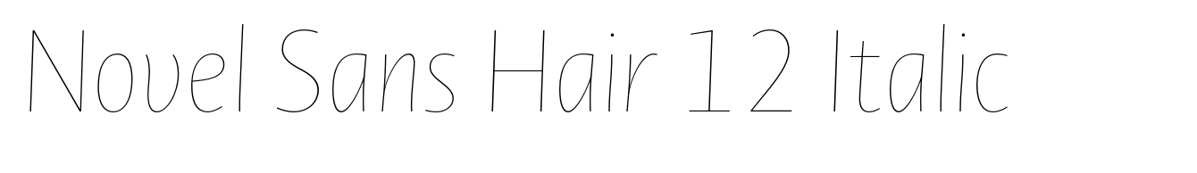 Novel Sans Hair 12 Italic