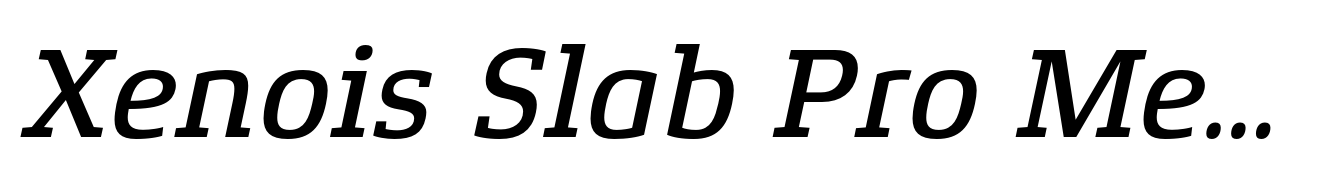Xenois Slab Pro Medium Italic