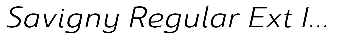 Savigny Regular Ext Italic