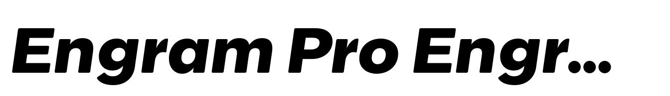 Engram Pro Engram Bold Italic