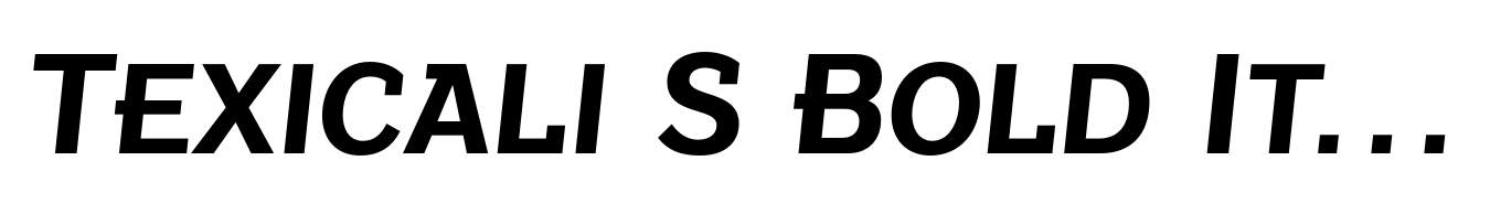 Texicali S Bold Italic