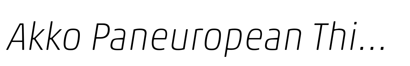 Akko Paneuropean Thin Italic