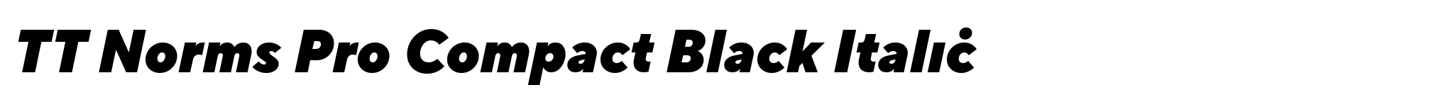 TT Norms Pro Compact Black Italic image