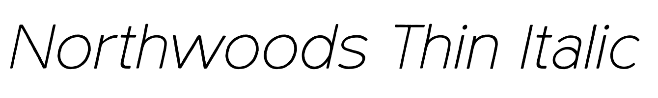 Northwoods Thin Italic