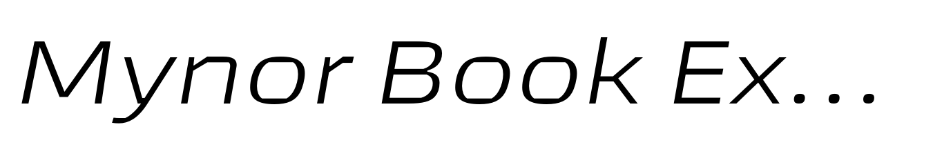 Mynor Book Expanded Italic