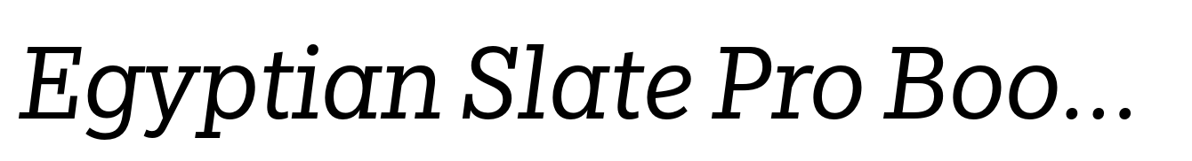 Egyptian Slate Pro Book Italic