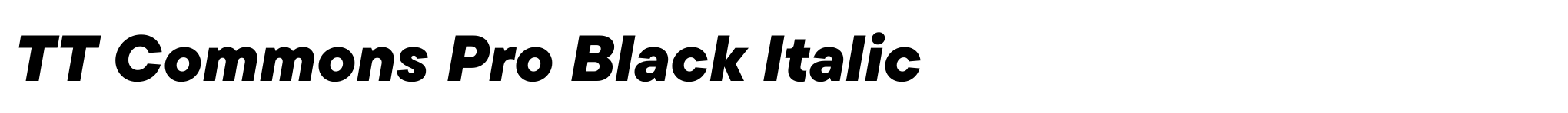 TT Commons Pro Black Italic image