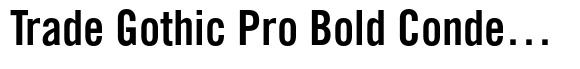 Trade Gothic Pro Bold Condensed #20 image