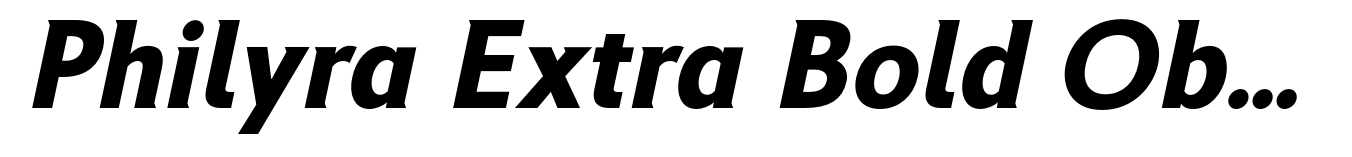 Philyra Complete Family Font | Webfont & Desktop | MyFonts