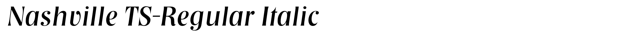 Nashville TS-Regular Italic image