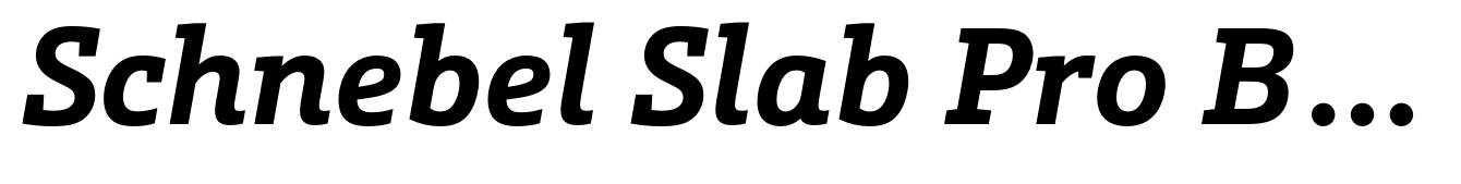 Schnebel Slab Pro Bold Italic