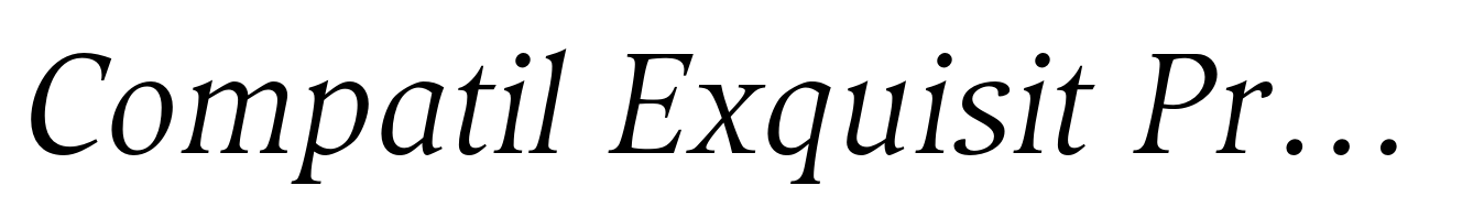 Compatil Exquisit Pro Italic