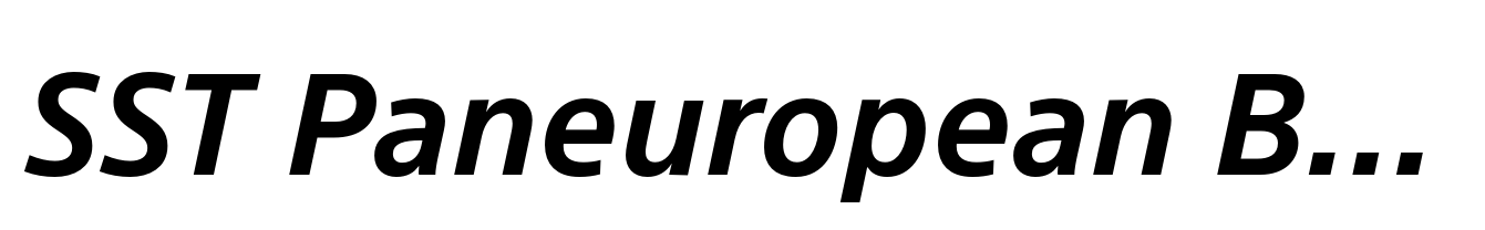 SST Paneuropean Bold Italic
