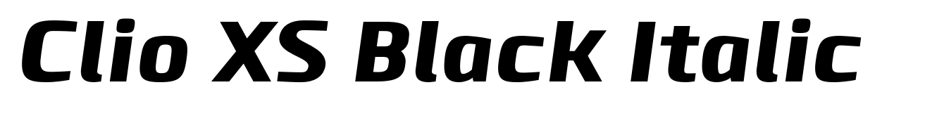 Clio XS Black Italic
