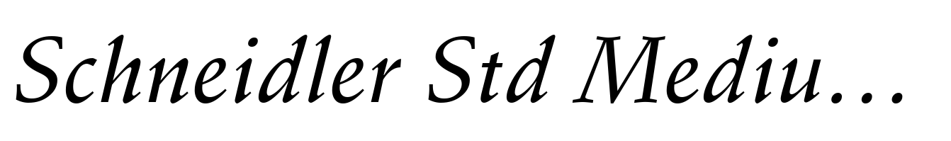 Schneidler Std Medium Italic