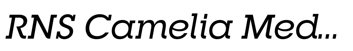 RNS Camelia Medium Italic