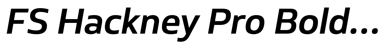 FS Hackney Pro Bold Italic