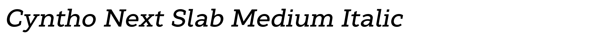Cyntho Next Slab Medium Italic image
