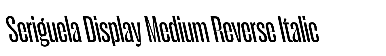 Seriguela Display Medium Reverse Italic