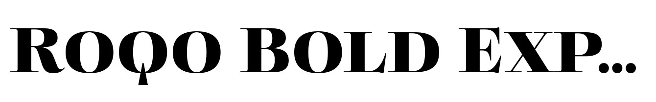 Roqo Bold Expanded Display