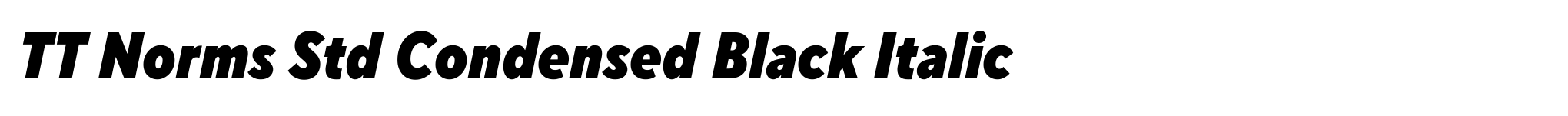 TT Norms Std Condensed Black Italic image