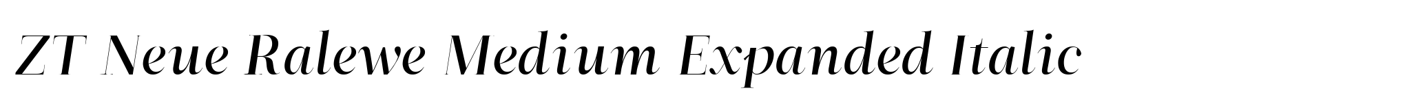 ZT Neue Ralewe Medium Expanded Italic image