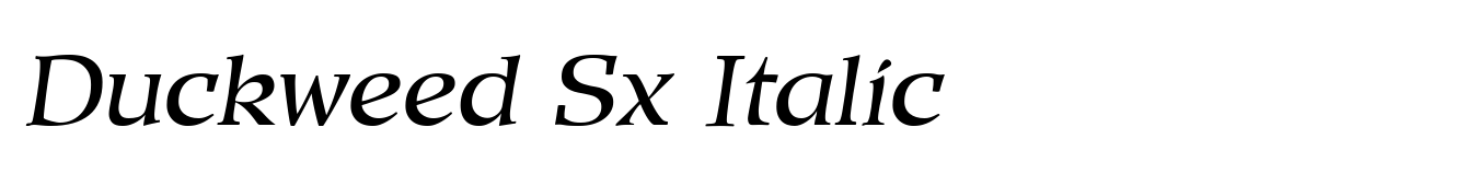 Duckweed Sx Italic
