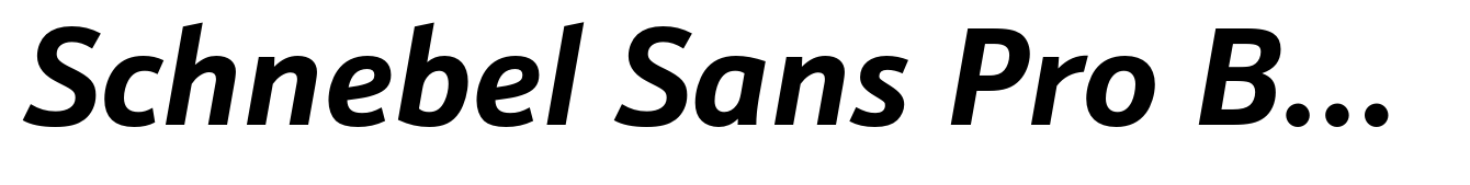 Schnebel Sans Pro Bold Italic