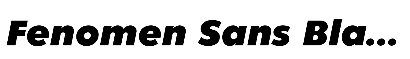 Fenomen Sans Black Italic