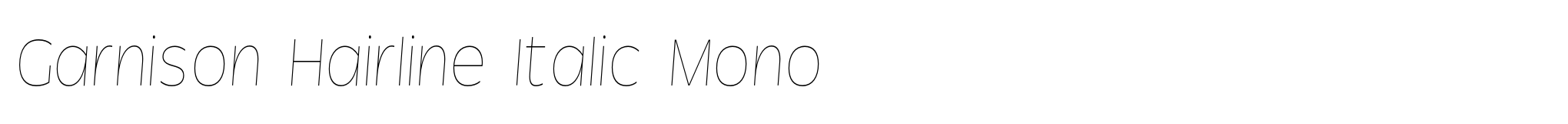 Garnison Hairline Italic Mono image