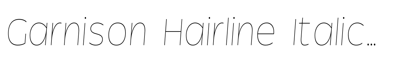 Garnison Hairline Italic Mono