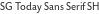 SG Today Sans Serif SH