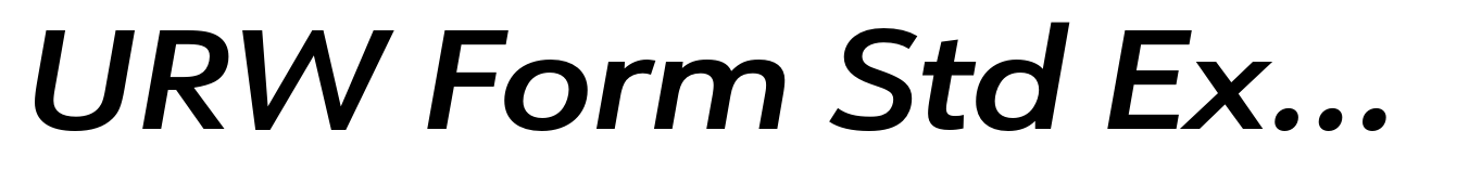 URW Form Std Expanded Demi Italic