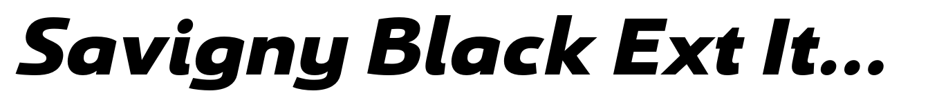 Savigny Black Ext Italic