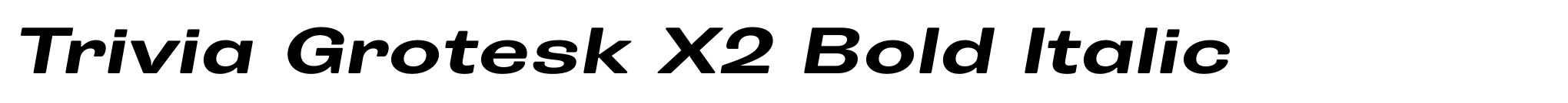 Trivia Grotesk X2 Bold Italic image
