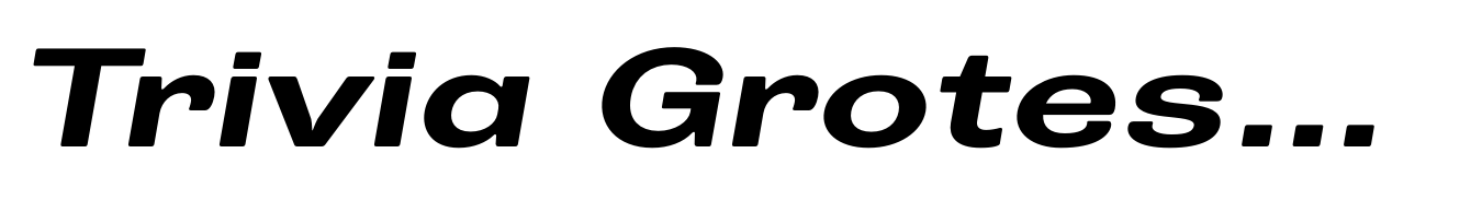 Trivia Grotesk X2 Bold Italic