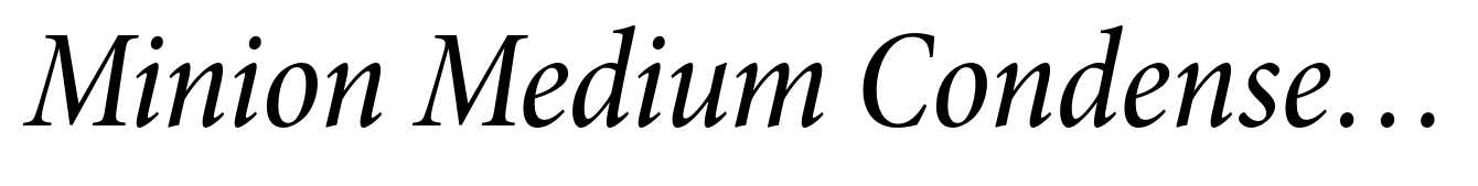 Minion Medium Condensed Italic Subhead