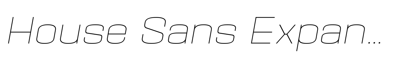House Sans Expanded Thin Italic