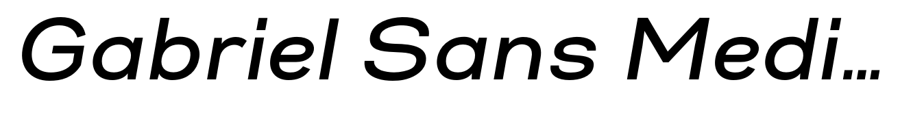 Gabriel Sans Medium Italic