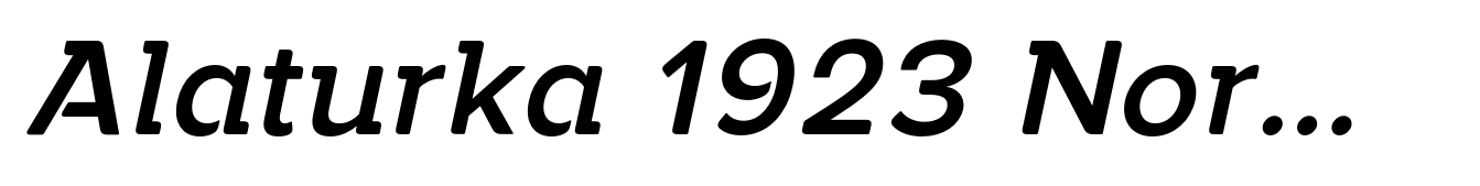 Alaturka 1923 Normal Medium Italic
