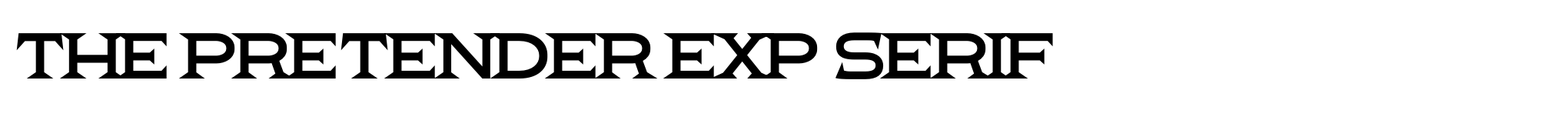 The Pretender Exp Serif image